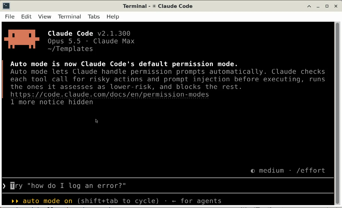 Linux 终端中运行 Claude Code 的截图