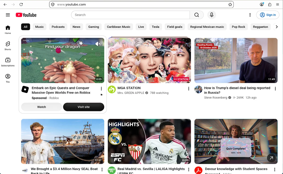 用户提供的 YouTube 首页访问示例